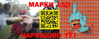 шишки Будённовск