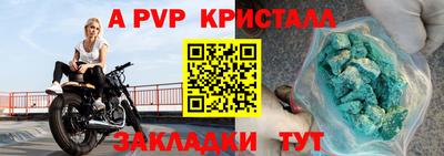 шишки Будённовск