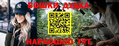 шишки Будённовск